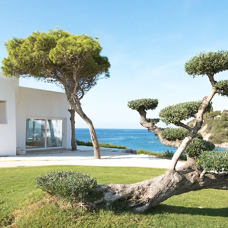 酒店 卡波博伊法肯斯特诺度假酒店 5*